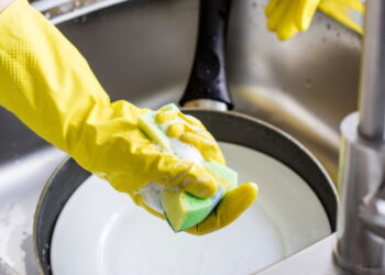 Truque natural para afastar insetos da esponja de lavar louça