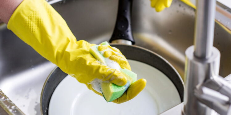 Truque natural para afastar insetos da esponja de lavar louça