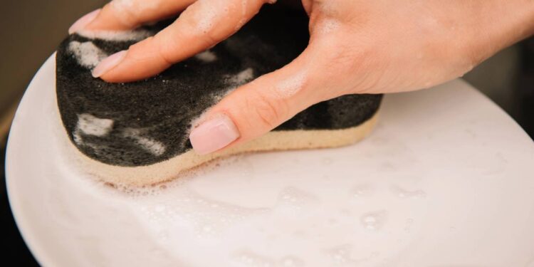 Quando trocar a esponja da pia para evitar bactérias