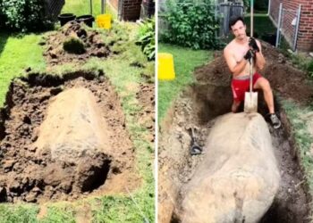 Ao tentar remover pedra no jardim, homem encontra rocha gigante de mais de 4 toneladas