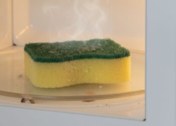 Coloquei a esponja de lavar louça no micro-ondas e em dois minutos, o problema estava resolvido