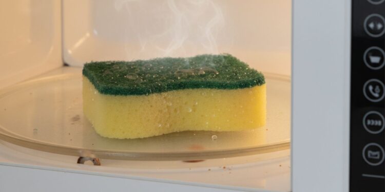 Coloquei a esponja de lavar louça no micro-ondas e em dois minutos, o problema estava resolvido