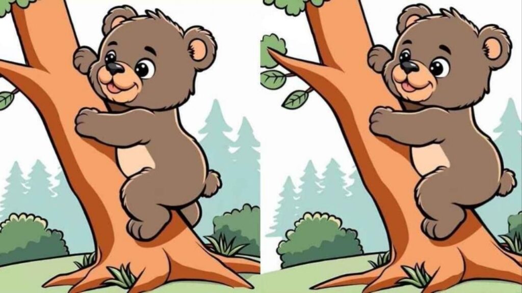 Um quebra-cabeça para quem tem visão de falcão: encontre 3 diferenças em imagens de ursos