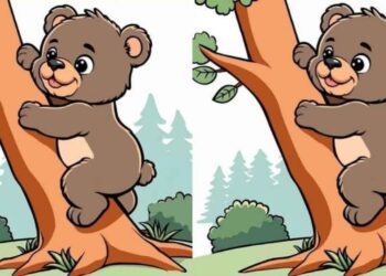 Um quebra-cabeça para quem tem visão de falcão: encontre 3 diferenças em imagens de ursos