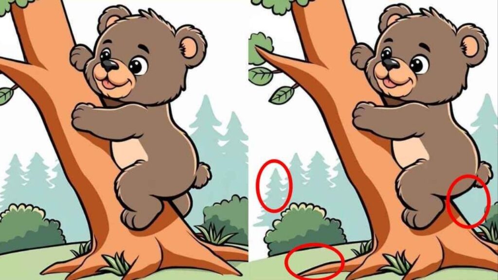 Um quebra-cabeça para quem tem visão de falcão: encontre 3 diferenças em imagens de ursos