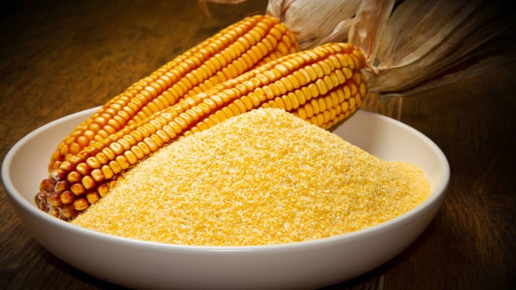 Armadilhas caseiras que eliminam grilos rapidamente