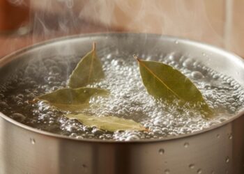 Ferver folhas de louro pode transformar o ambiente da sua casa