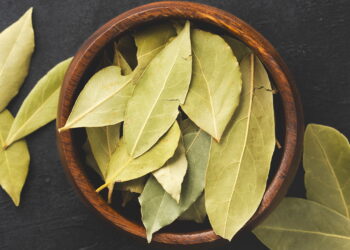 Essa tradição com folha de louro pode transformar seu lar sem você perceber