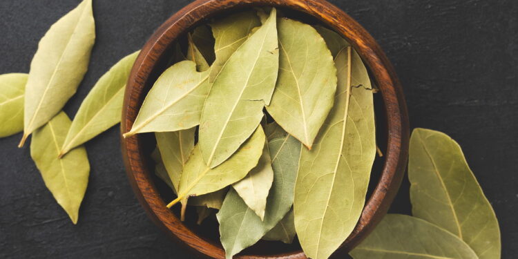 Essa tradição com folha de louro pode transformar seu lar sem você perceber