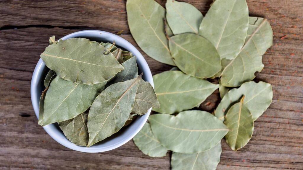 Truque com folha de louro para afastar moscas e mosquitos da pia