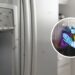 Soluções para eliminar as formigas da geladeira sem produtos químicos