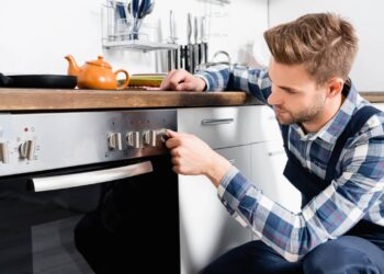 Como proteger o forno elétrico contra acúmulo de gordura e insetos