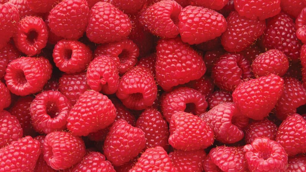 Conheça a fruta que melhora a saúde cardiovascular e garante o bem-estar