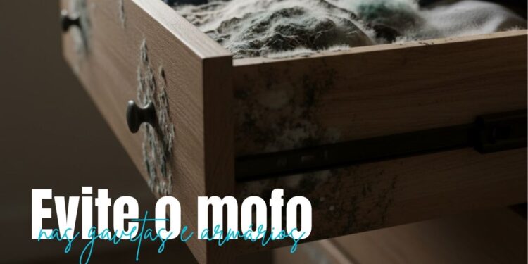 Receita caseira para evitar mofo em gavetas e armários