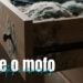 Receita caseira para evitar mofo em gavetas e armários