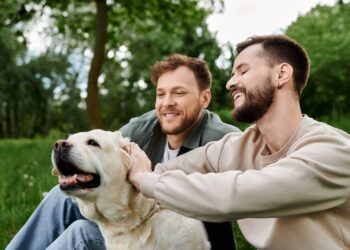O que o impulso de acariciar cães revela sobre sua personalidade, segundo psicologia