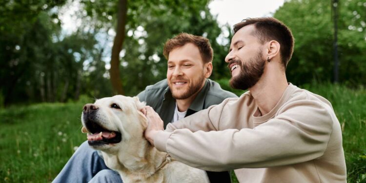 O que o impulso de acariciar cães revela sobre sua personalidade, segundo psicologia