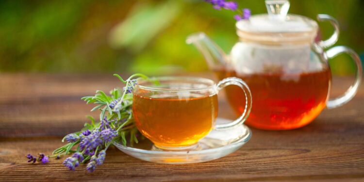 Infusão de lavanda para ter uma noite de sono mais tranquila