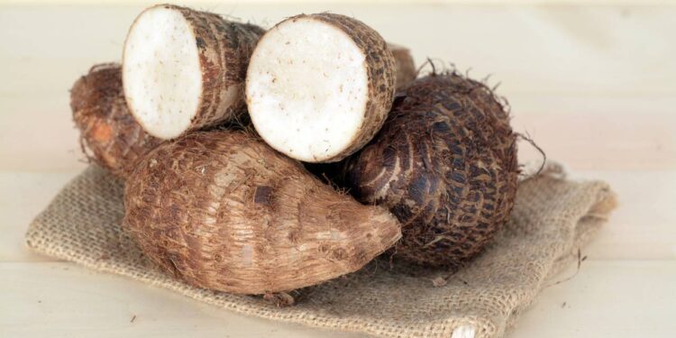 Como armazenar inhame com frescor e crocância por semanas