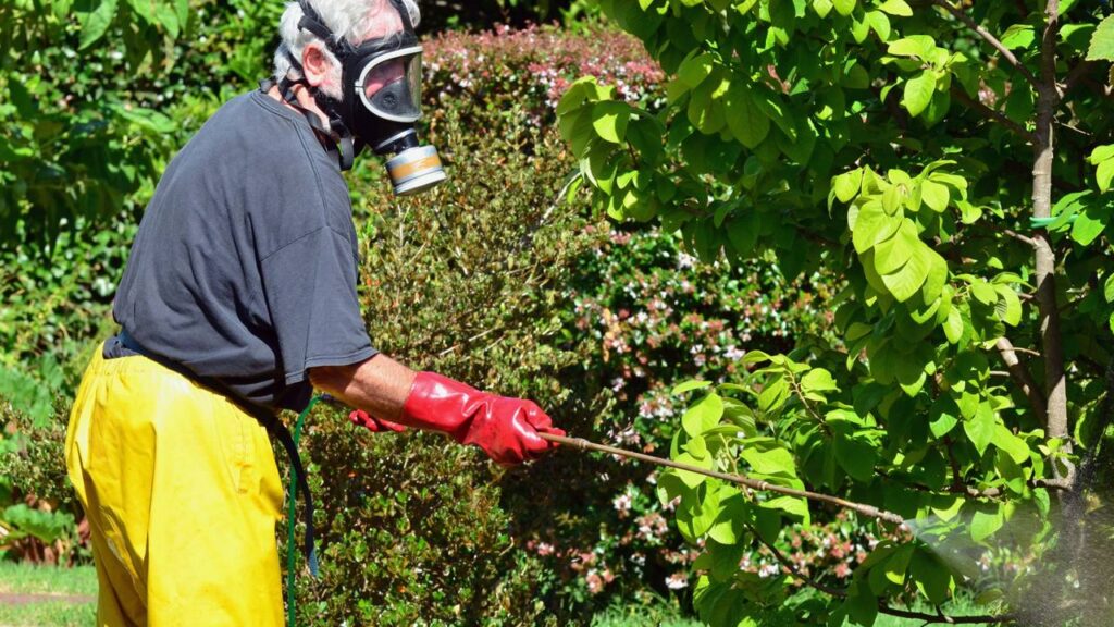 Este produto de limpeza pode estar espalhando pulgas no seu quintal