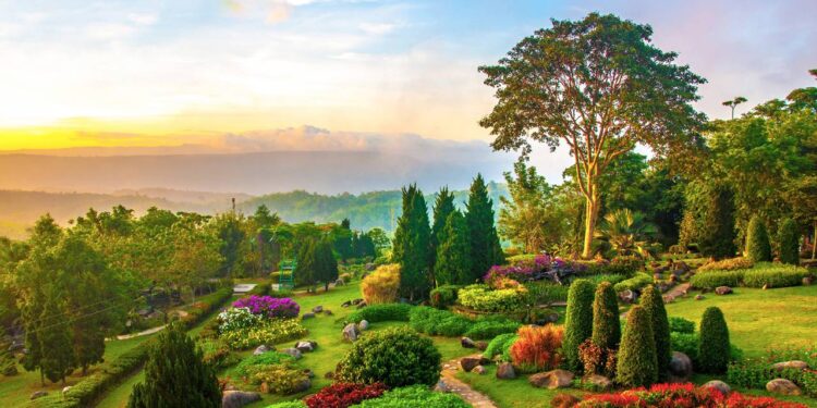 O segredo por trás dos jardins mais floridos da primavera começa no outono