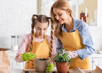 Como criar um altar verde com aromas e ervas do zodíaco