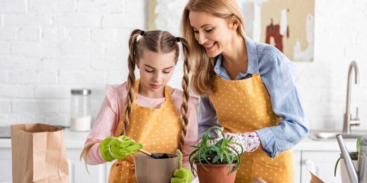 Como criar um altar verde com aromas e ervas do zodíaco