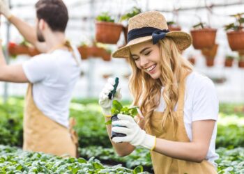 Como usar a astrologia para escolher a melhor época de plantar e colher