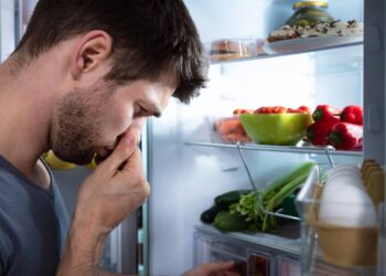 Pequenas mudanças que evitam o desperdício de legumes na geladeira