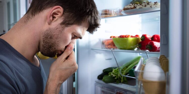 Pequenas mudanças que evitam o desperdício de legumes na geladeira