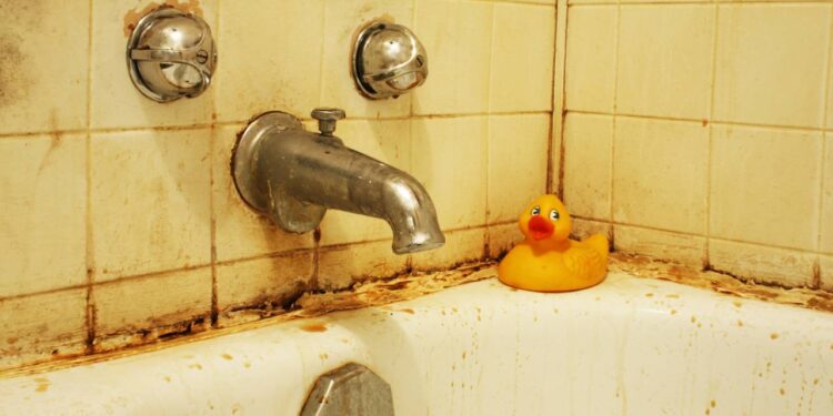 Sem vinagre, sem bicarbonato: esta receita elimina o limo sem esforço