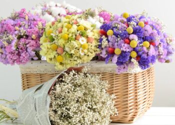 3 lindas flores para usar na decoração durante a primavera
