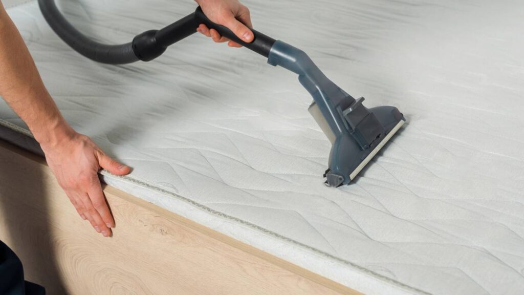 Este erro comum está atraindo cupins para sua cama