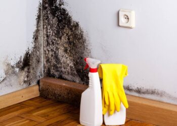 Como usar vinagre para retirar mofo de paredes de forma segura e eficaz