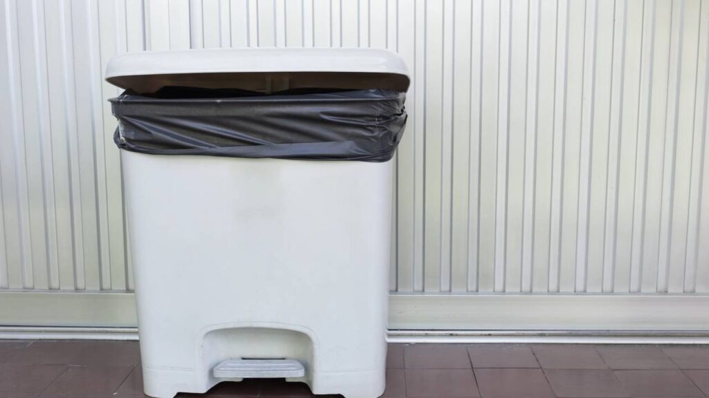 Como acabar com as baratas usando truques simples e naturais