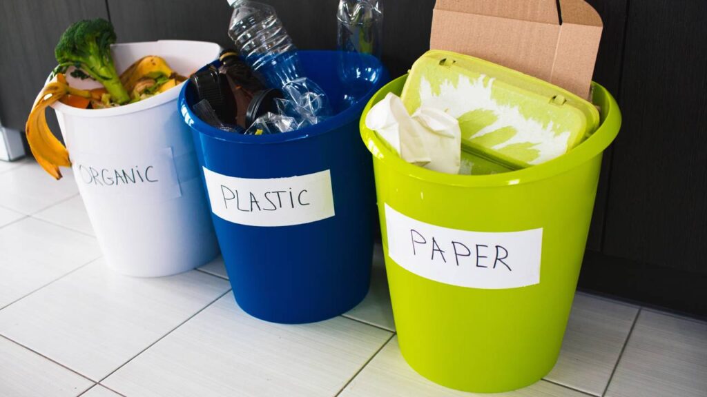 Como identificar larvas escondidas na cozinha antes que se espalhem