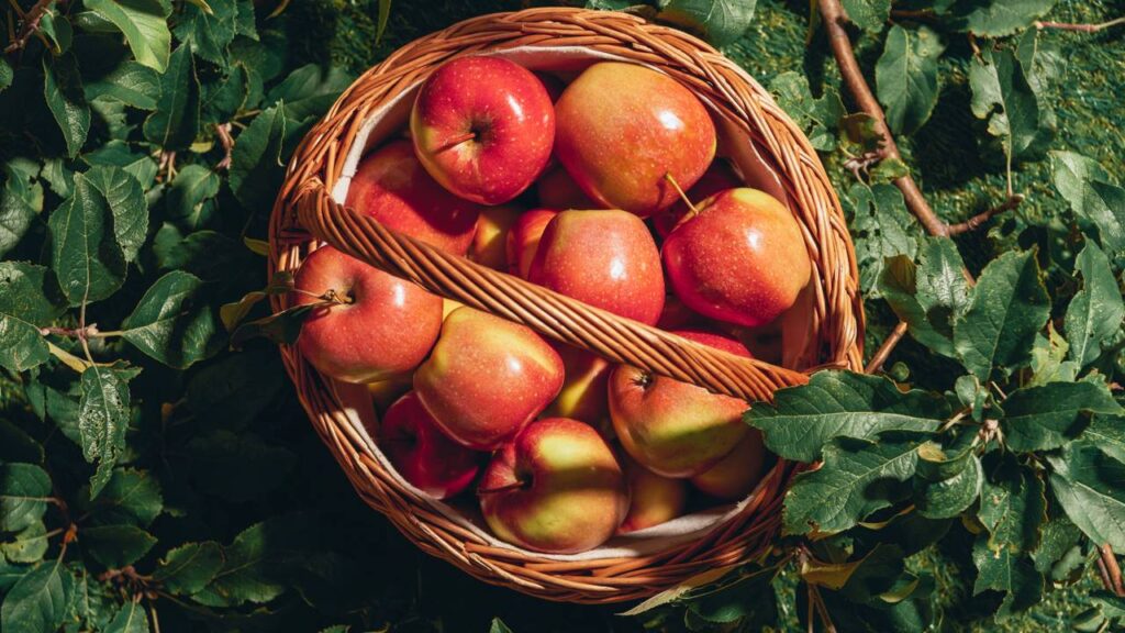 O suco natural mais poderoso para deixar a pele brilhando naturalmente