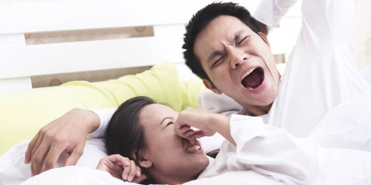 Plantas que ajudam a cuidar da boca e eliminam o mau hálito