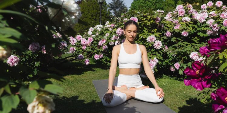 Plantas que ajudam na meditação, segundo Feng Shui