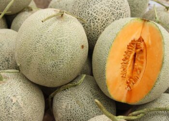 Como guardar melões suculentos e refrescantes sem desperdiçar nada