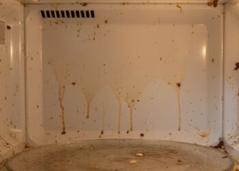 Nem sabão, nem água quente: esse ingrediente elimina a gordura do micro-ondas