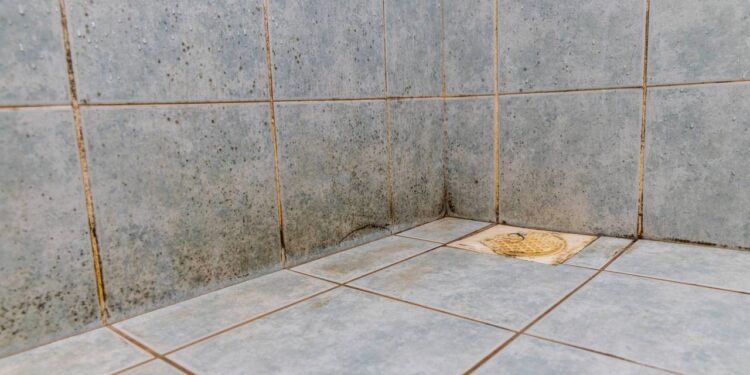 Aprenda a fazer uma mistura simples com bicarbonato que limpa o banheiro sem esforço