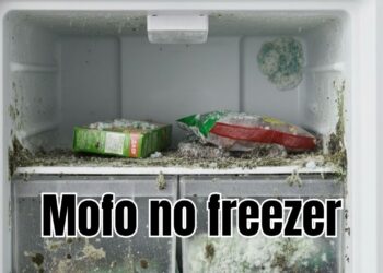 Esta dica evita que o mofo apareça no freezer