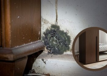 A melhor forma de acabar com o mofo atrás do guarda-roupa