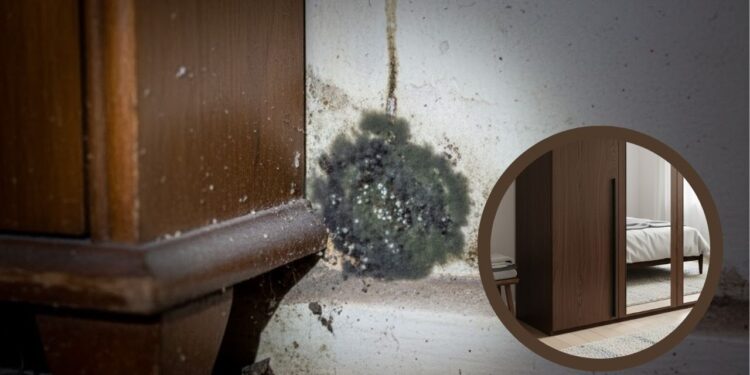 A melhor forma de acabar com o mofo atrás do guarda-roupa