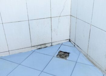 Estas soluções caseiras acabam com o mofo do rejunte do banheiro eficazmente