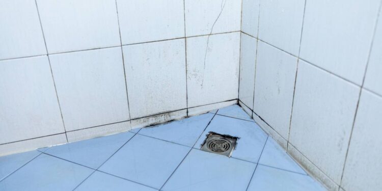 Estas soluções caseiras acabam com o mofo do rejunte do banheiro eficazmente