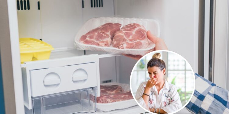 Esse ingrediente mantém o freezer livre de pragas e odores