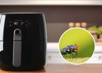 Esses ingredientes podem salvar sua airfryer de baratas e moscas
