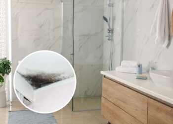 Esses 3 ingredientes simples eliminam o mofo do box de acrílico